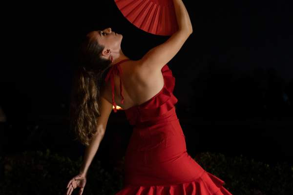 Gipsy Nights w/ Alebrije Flamenco
