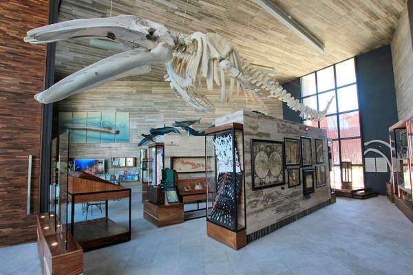 GUIDED TOUR MUSEUM