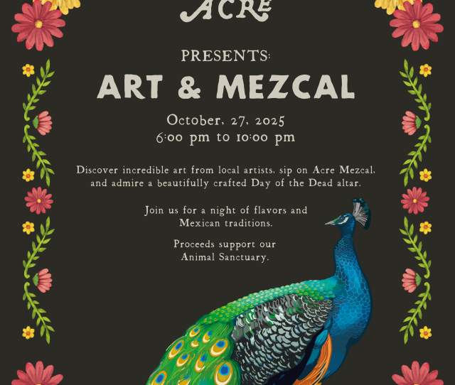 Art & Mezcal at Acre Los Cabos