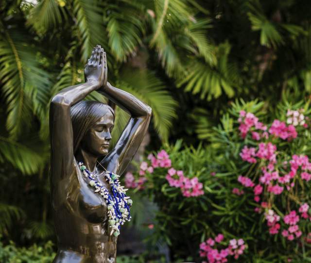 ANAJICONDI - Mindful Dining Meets Jungle Retreat