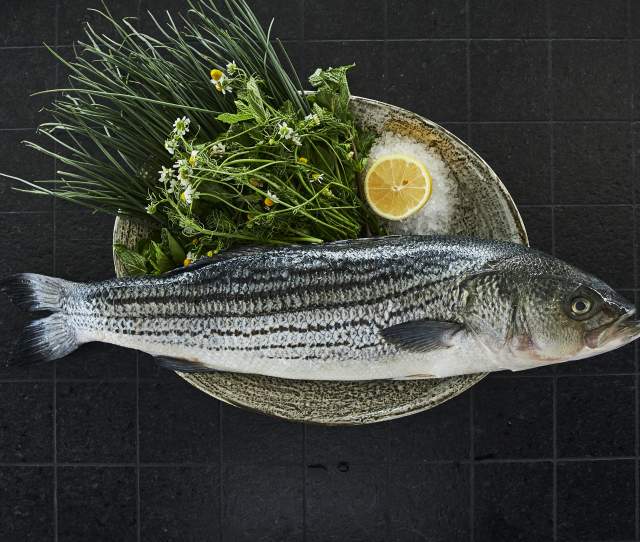 Baja Lab Kitchen: Erik Guerrero from Namik