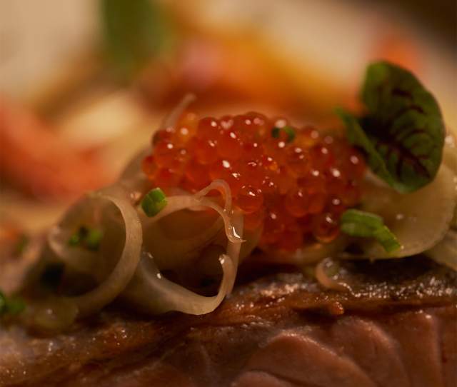 CELEBRATE THANKSGIVING AT PALMILLA SOCIAL CLUB