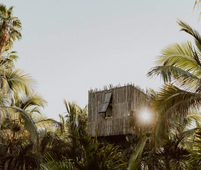 Acre Tree Houses