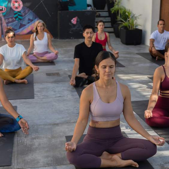Morning Yoga