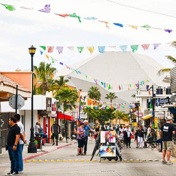 ¡VIVA LA PLAZA!