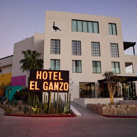 MOVIE NIGHT | LEONORA