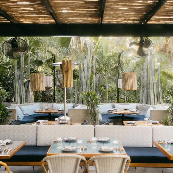 Acre Saturday and Sunday Brunch