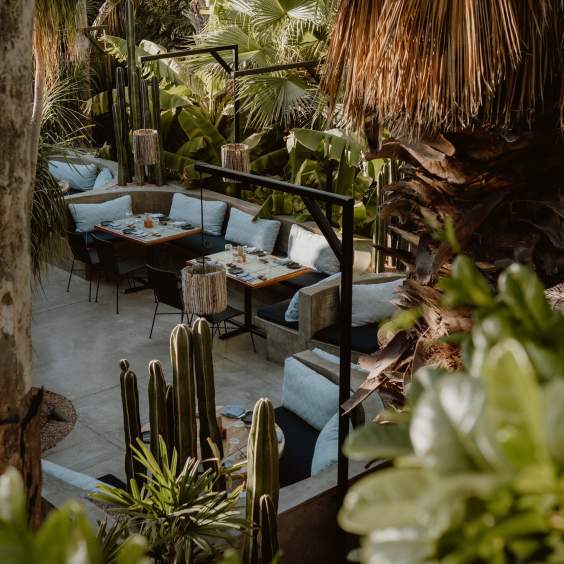 Acre Saturday and Sunday Brunch