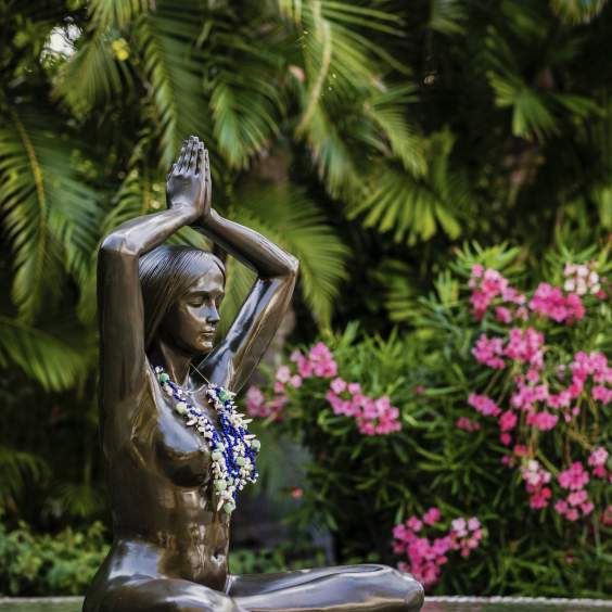 ANAJICONDI - Mindful Dining Meets Jungle Retreat