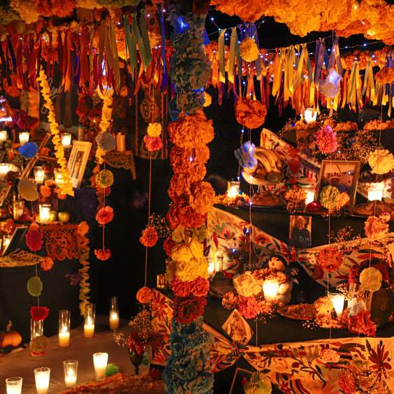 Celebrate Día de Muertos