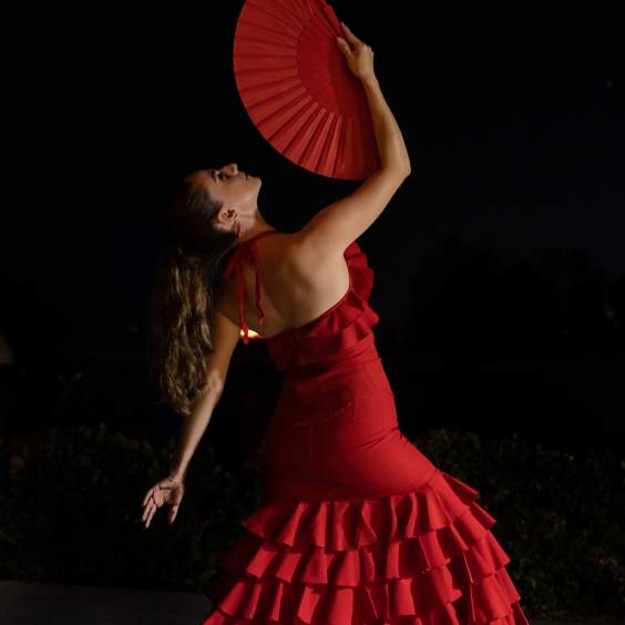 Gipsy Nights  w/ Alebrije Flamenco