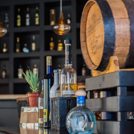 Tequila Tasting Experience