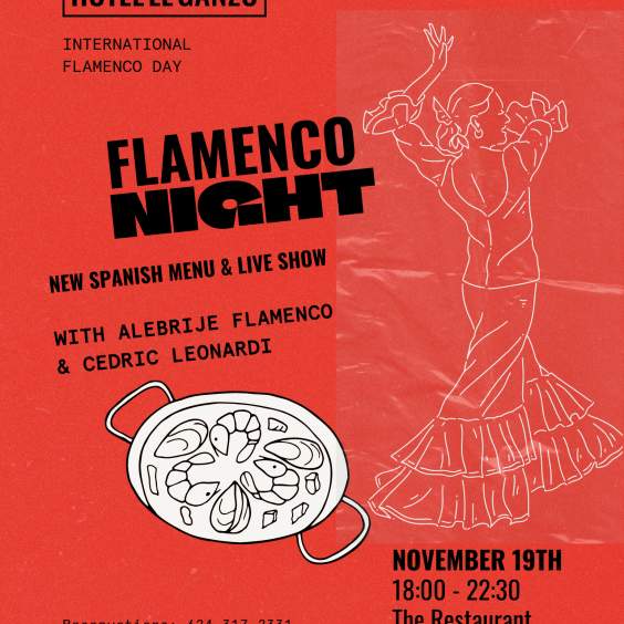 International Flamenco Day