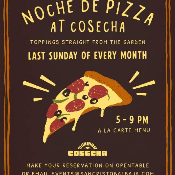 Noche de Pizza
