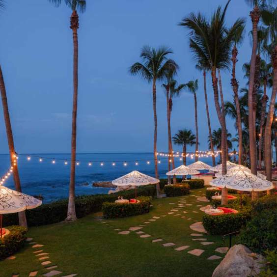 Thanksgiving Dinner at One&Only Palmilla