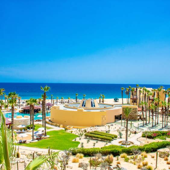 Thanksgiving Dinner 2025