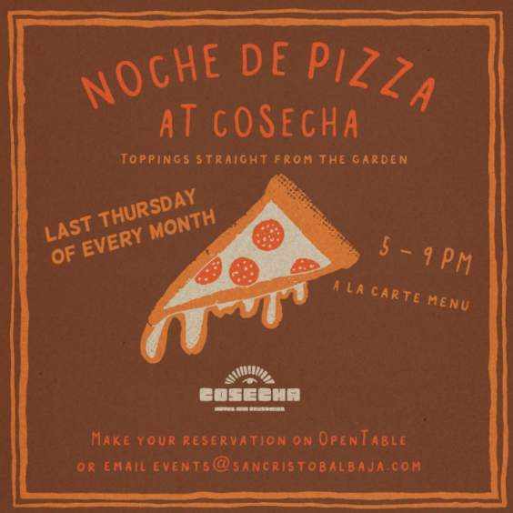 Pizza Night