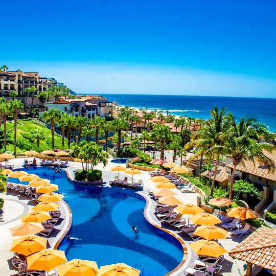 Thanksgiving Dinner 2025