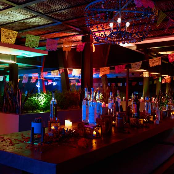 Dia de Muertos at El Barrio
