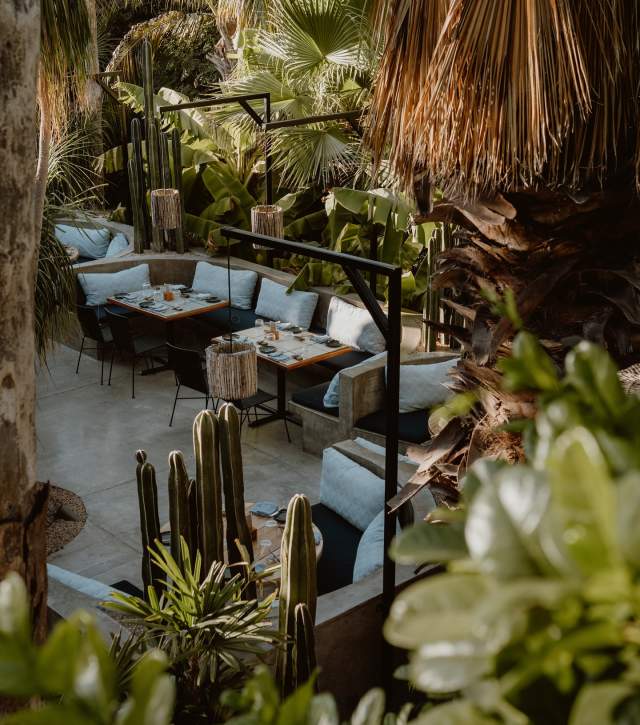 Acre Saturday and Sunday Brunch