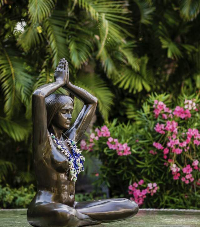 ANAJICONDI - Mindful Dining Meets Jungle Retreat