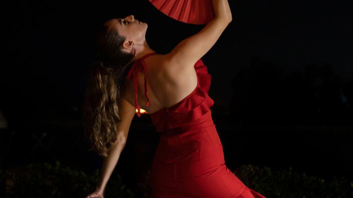 Gipsy Nights w/ Alebrije Flamenco