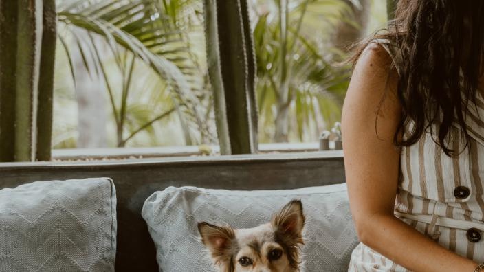 Celebrating Dog Month
