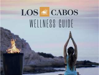 Wellness Guide
