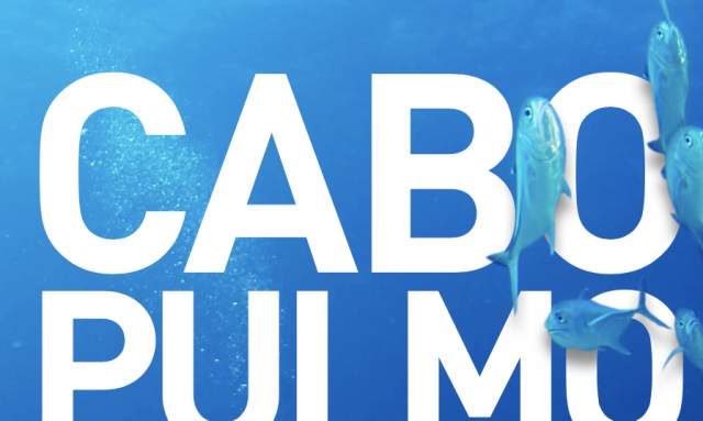 Cabo Pulmo Responsible Tourist Guide