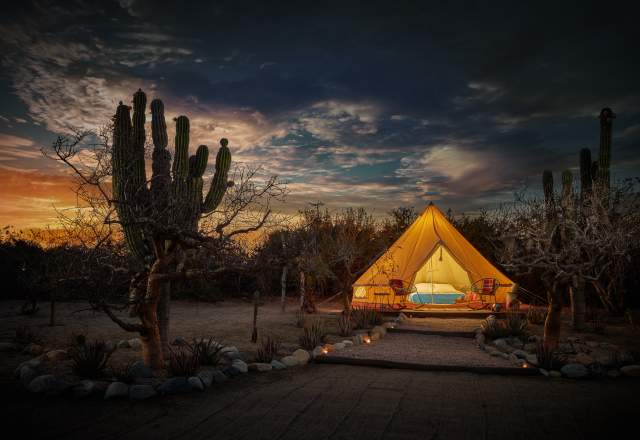 Camping & Glamping