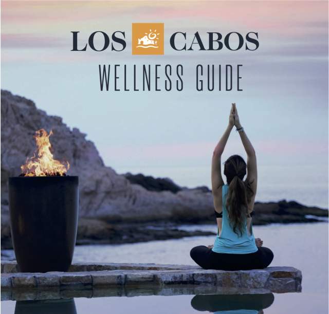 Wellness Guide