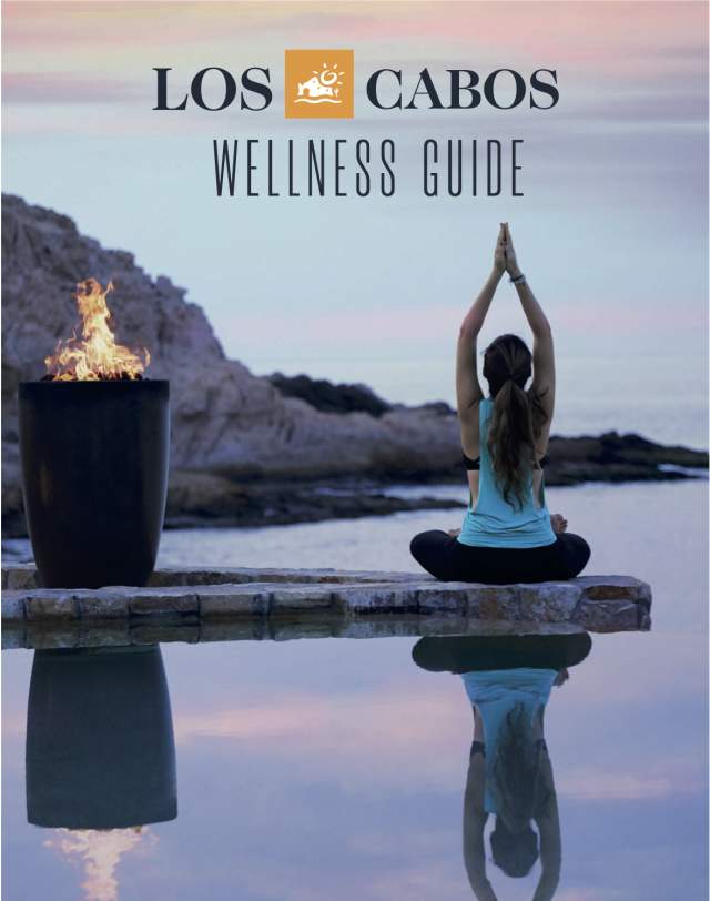 Wellness Guide