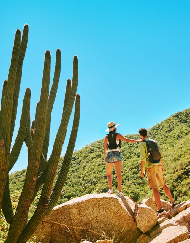 Hiking