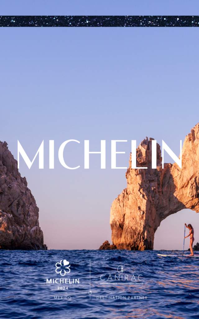 Michelin Banner New