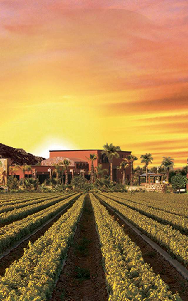 valle guadalupe