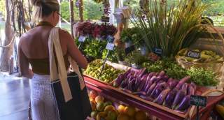 A woman shopping at a colorful market stall filled with fresh vegetables, herbs, and fruits, illuminated by soft sunlight filtering through the trees