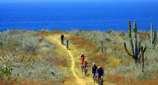 Mountain Bikers