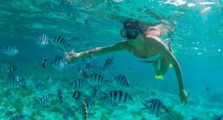 Snorkeling