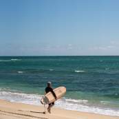 A man in a black wetsuit walks across the golden sands of a Los Cabos beach, carrying a vintage-style wooden surfboard toward the vibrant turquoise and deep blue waters of the Sea of Cortez under a vast, clear sky.