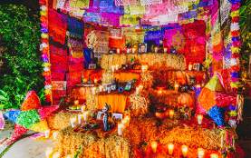 Flora Farms | Altar Competition 2026