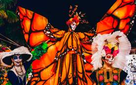 Flora Farms | Altar Competition 2026
