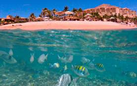 Playa Grand Fiesta Americana Los Cabos