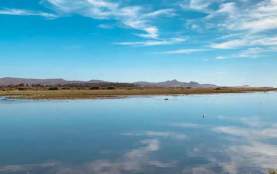 Estero San José del Cabo 2