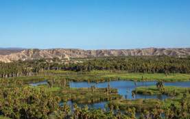 Estero san José del Cabo 1