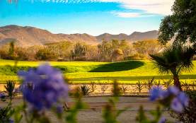 Los Cabos Golf Resort