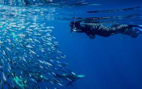 Baja Expeditions 1