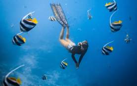 Snorkel High Tide