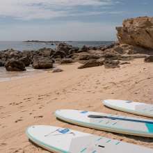 Beach paddlejpg.jpg