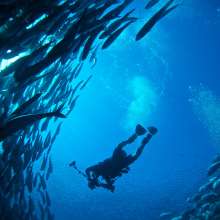 Diving Cabo San Lucas.jpg