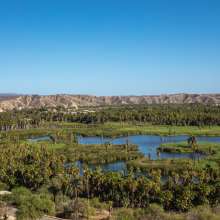 Oasis de Santiago.jpg